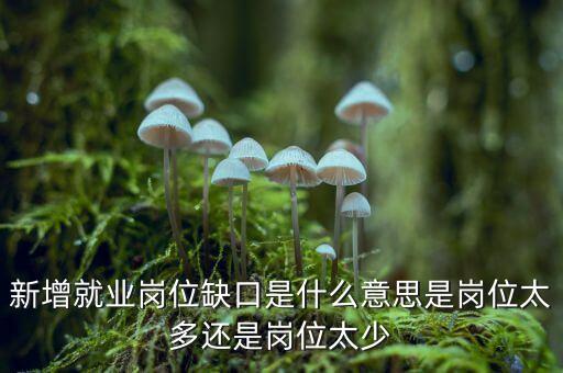 新增就業(yè)崗位缺口是什么意思是崗位太多還是崗位太少