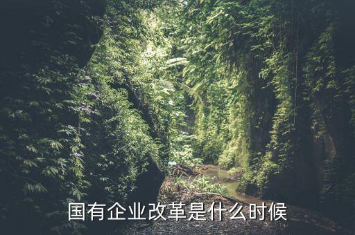 國(guó)有企業(yè)改革是什么時(shí)候