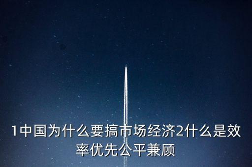 1中國(guó)為什么要搞市場(chǎng)經(jīng)濟(jì)2什么是效率優(yōu)先公平兼顧
