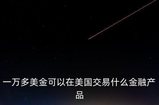 一萬多美金可以在美國交易什么金融產(chǎn)品