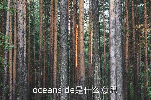 菜鳥倉什么意思，oceanside是什么意思