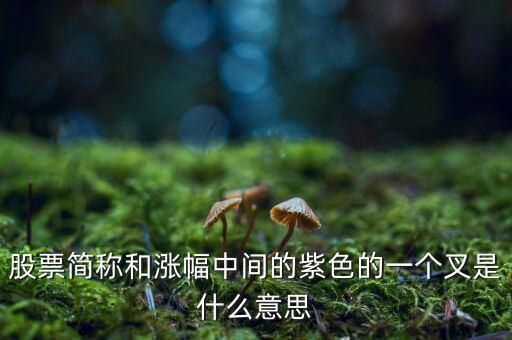 股票簡稱和漲幅中間的紫色的一個叉是什么意思