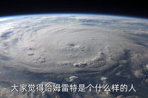 大家覺得哈姆雷特是個什么樣的人
