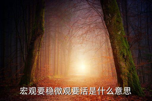 宏觀政策要穩(wěn)具體指什么，宏觀要穩(wěn)微觀要活是什么意思