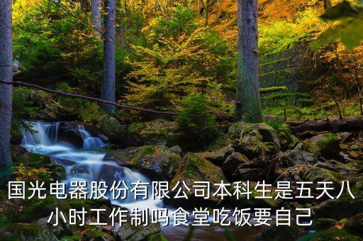 國(guó)光電器主要干什么的，國(guó)光電器生產(chǎn)什么
