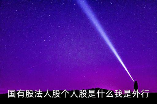 國有股法人股個人股是什么我是外行