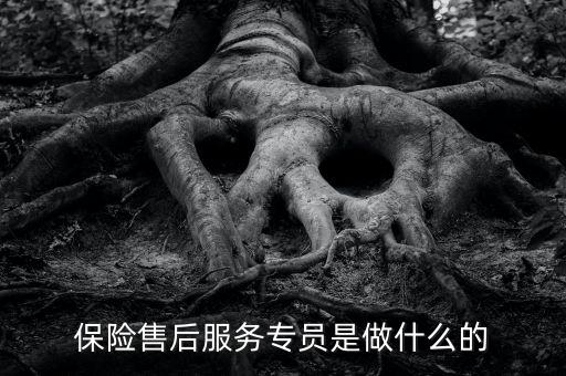 保險(xiǎn)公司售后服務(wù)專員做什么，保險(xiǎn)售后服務(wù)人員是干什么的