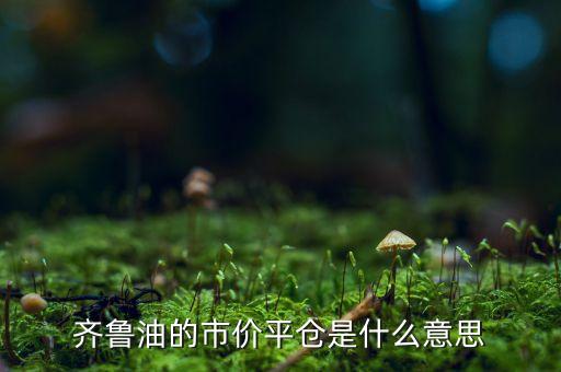 市價(jià)平倉(cāng)是什么意思，齊魯油的市價(jià)平倉(cāng)是什么意思