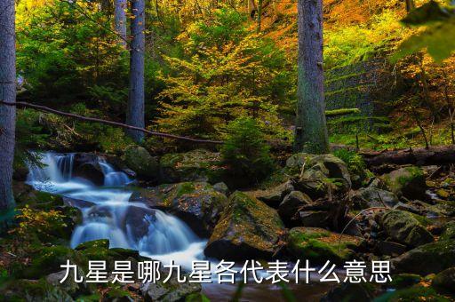 什么是榮譽(yù)股，什么是榮譽(yù)博士