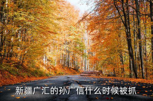 新疆廣匯的孫廣信什么時(shí)候被抓