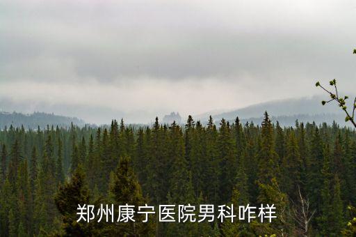 鄭州康寧醫(yī)院男科咋樣