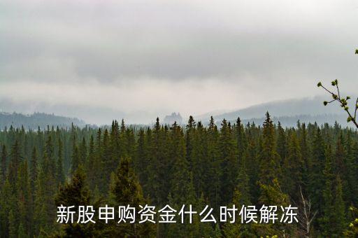 本周打新資金什么時候解凍，打新的資金什么時候解凍