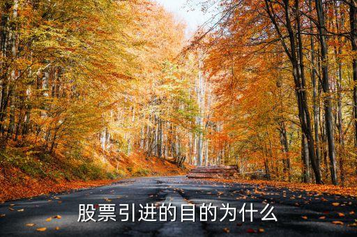 中國為什么引進股票，中國九十年代引進股票目的