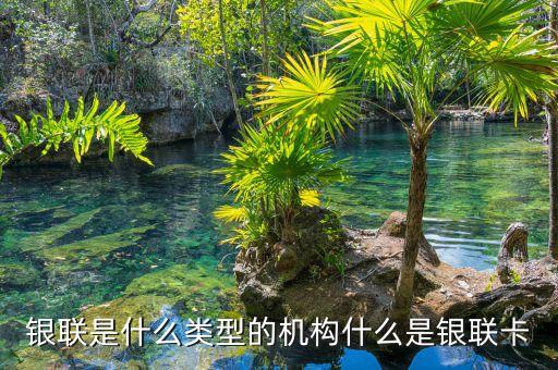銀聯(lián)是什么類型的機構(gòu)什么是銀聯(lián)卡
