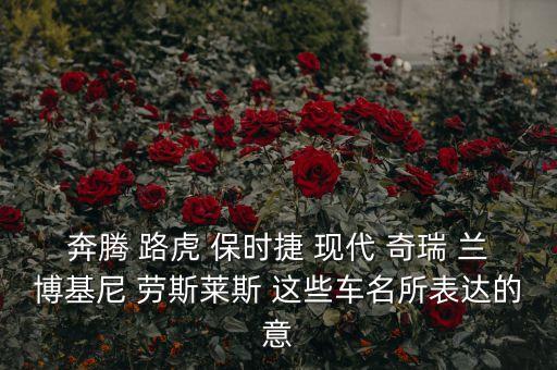 奇瑞路虎是什么意思，奇瑞陸虎和捷豹陸虎是怎么回事都是福特旗下的品牌嗎