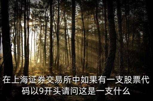 9開頭的股票是什么股，在上海證券交易所中如果有一支股票代碼以9開頭請問這是一支什么