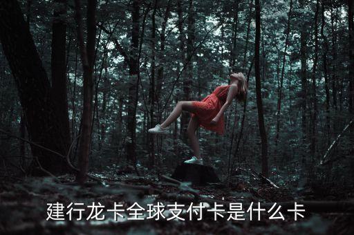 建行龍卡全球支付卡是什么卡