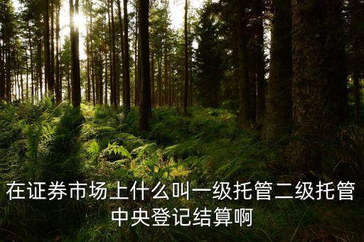 什么是券商結(jié)算模式，實(shí)行分級結(jié)算原則主要是出于防范什么風(fēng)險