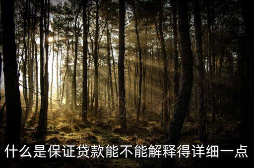 土地收益保證貸款是什么意思，請問保證貸款是什么意思啊