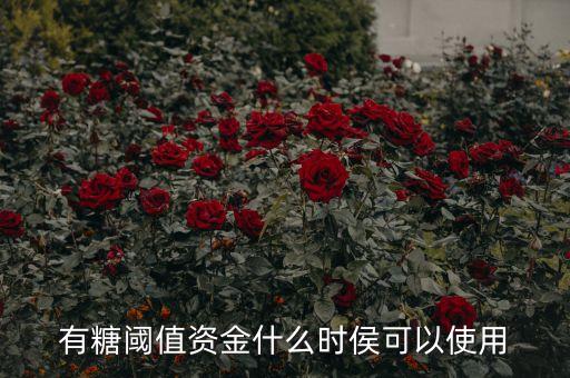 有糖閾值資金什么時(shí)侯可以使用