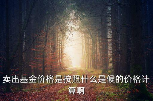 賣(mài)出基金價(jià)格是按照什么是候的價(jià)格計(jì)算啊