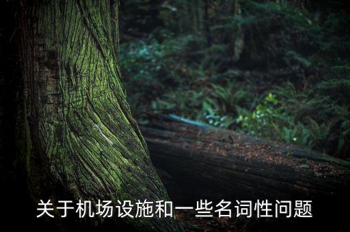 關(guān)于機(jī)場(chǎng)設(shè)施和一些名詞性問題