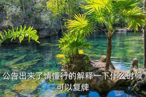 公告出來了請(qǐng)懂行的解釋一下什么時(shí)候可以復(fù)牌