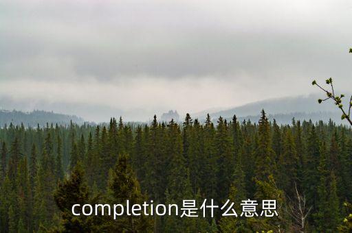 放緩是什么意思，completion是什么意思