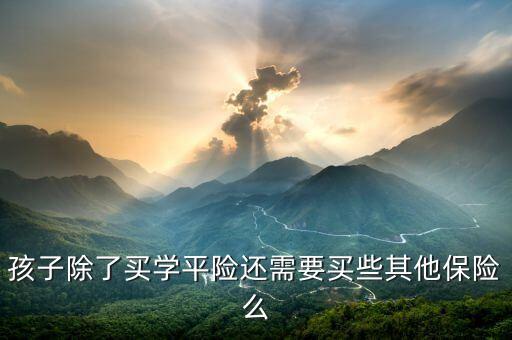 孩子除了買學(xué)平險還需要買些其他保險么