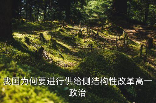 我國為何要進(jìn)行供給側(cè)結(jié)構(gòu)性改革高一政治