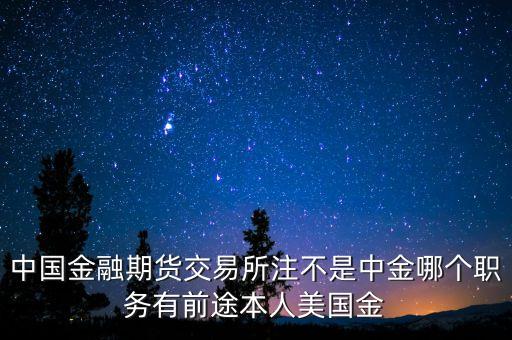 中金交易所是做什么的，中國(guó)金融期貨交易所注不是中金哪個(gè)職務(wù)有前途本人美國(guó)金