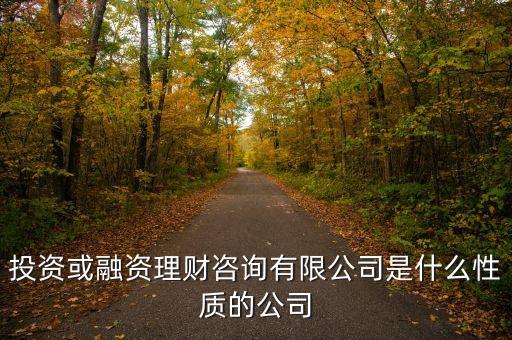 金融理財有限公司是什么性質(zhì)的，投資或融資理財咨詢有限公司是什么性質(zhì)的公司