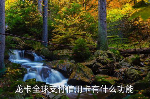 龍卡全球支付是什么卡，建設(shè)銀行龍卡全球支付信用卡是普卡還是金卡