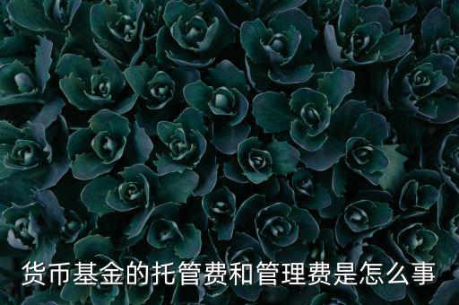 貨幣基金的托管費和管理費是怎么事