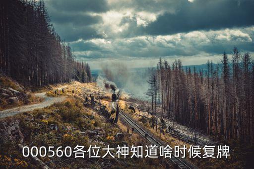 譽衡藥業(yè)什么時候復(fù)牌，000560各位大神知道啥時候復(fù)牌