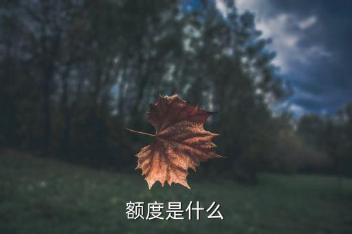 產(chǎn)品額度是什么意思，民生銀行理財(cái)產(chǎn)品額度100是啥意思