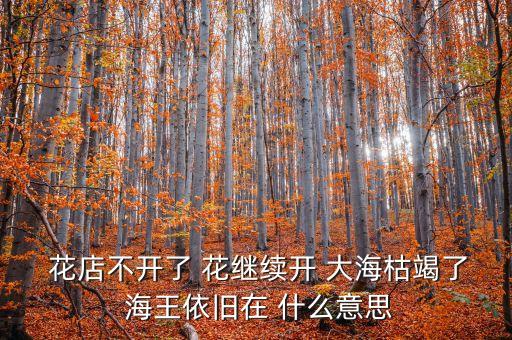  花店不開(kāi)了 花繼續(xù)開(kāi) 大?？萁吡?海王依舊在 什么意思