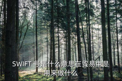 外貿(mào)中swift是什么意思，外貿(mào) 客戶說把swift發(fā)過來是什么意思 另外發(fā)到哪里