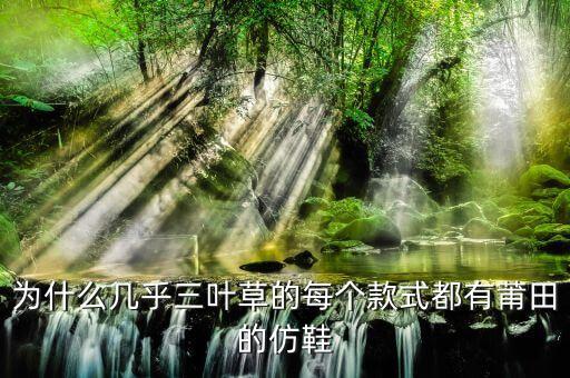 為什么幾乎三葉草的每個(gè)款式都有莆田的仿鞋