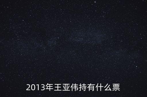 2013年王亞偉持有什么票