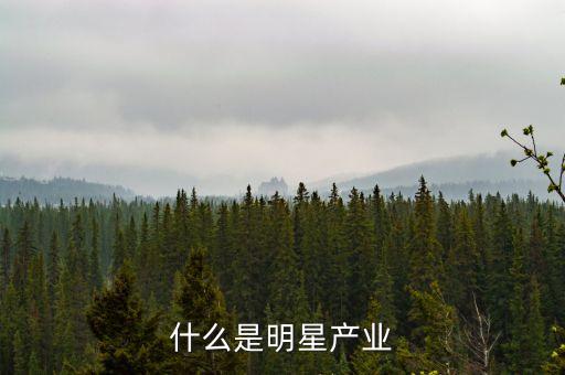 什么是明星產(chǎn)業(yè)