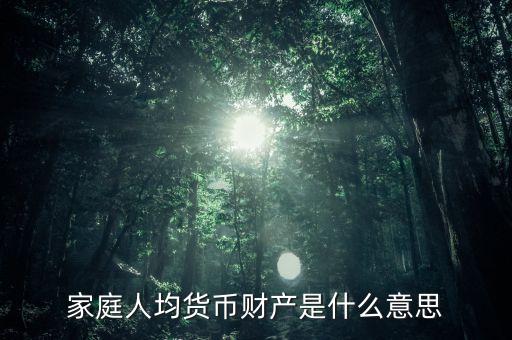 家庭人均貨幣財(cái)產(chǎn)是什么意思