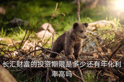長匯財富的投資期限是多少還有年化利率高嗎