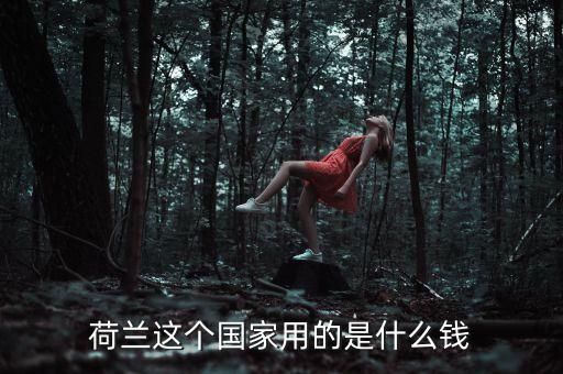荷蘭這個(gè)國(guó)家用的是什么錢