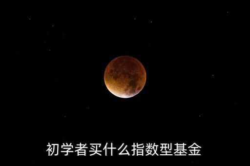 初學(xué)者買什么指數(shù)型基金