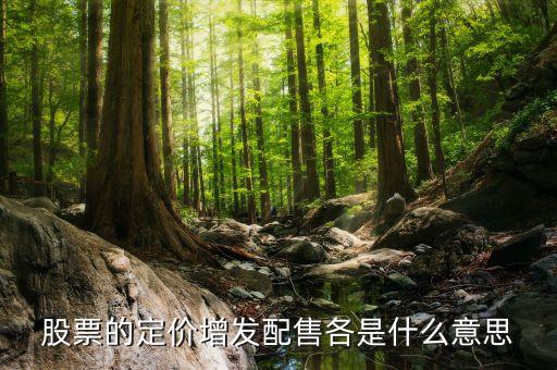股票的定價增發(fā)配售各是什么意思