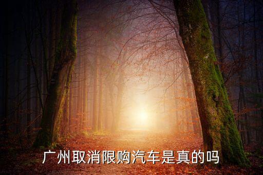 廣州取消限購汽車是真的嗎