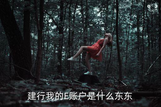建設銀行e賬戶有什么用，建行e賬戶開通能干什么