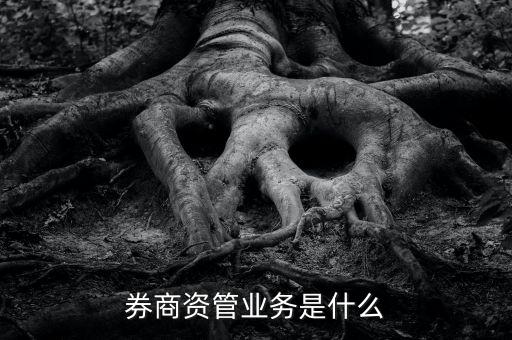 資管什么叫買方，券商資管業(yè)務(wù)是什么
