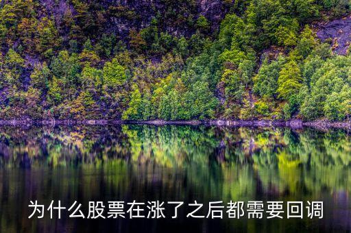為什么股票在漲了之后都需要回調(diào)